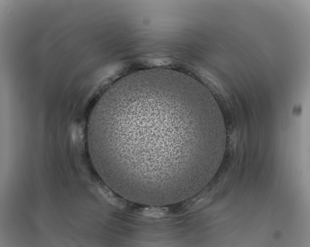 X0000094380373200711091607