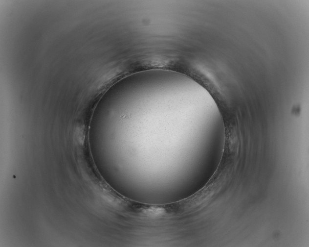 X0000094380374200711091607