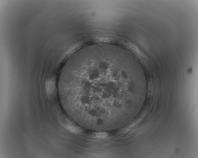 X0000094380377200711091607