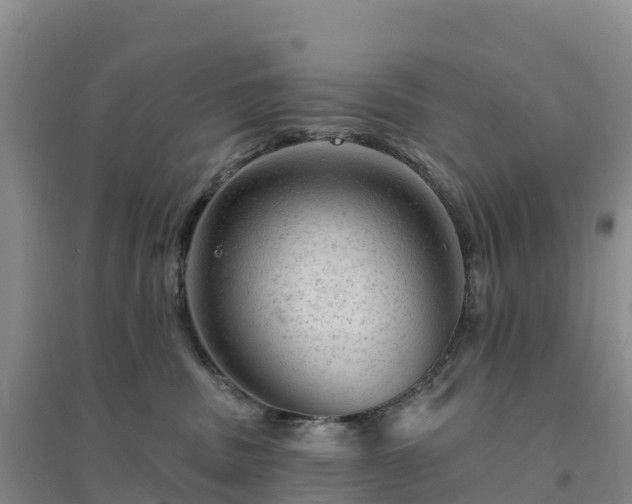 X0000094380379200711091607
