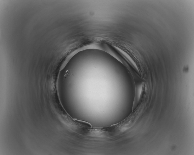 X0000094380380200711091607
