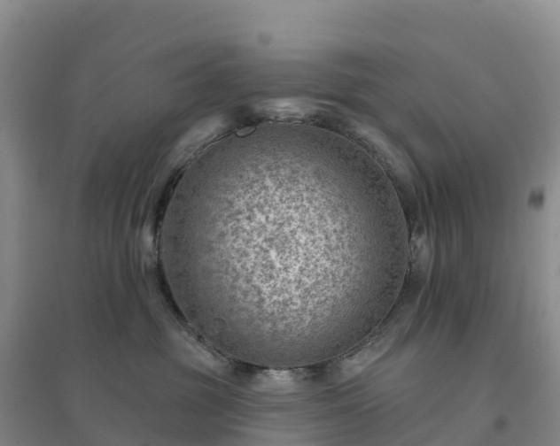 X0000094380381200711091607