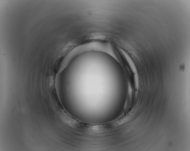X0000094380382200711091607