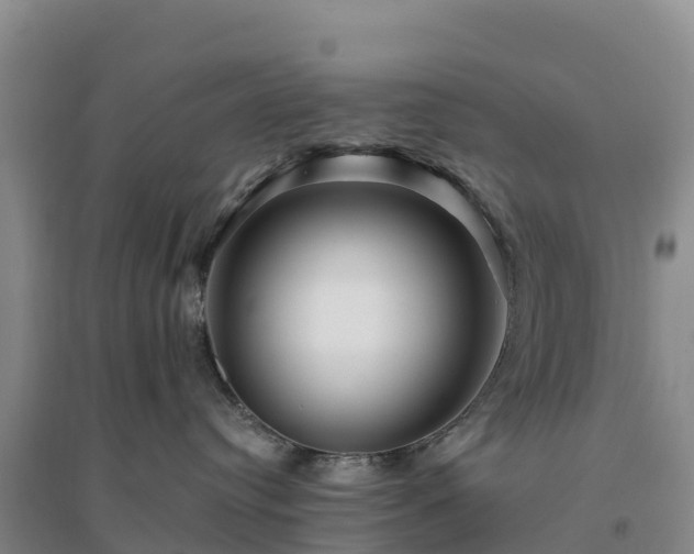 X0000094380384200711091607