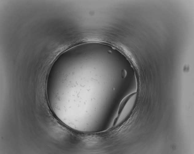 X0000094380385200711091606