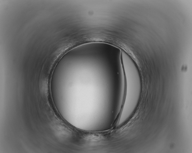 X0000094380386200711091606