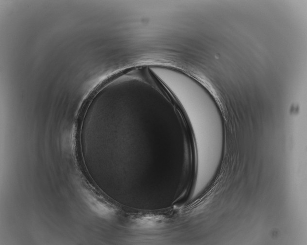 X0000094380387200711091606