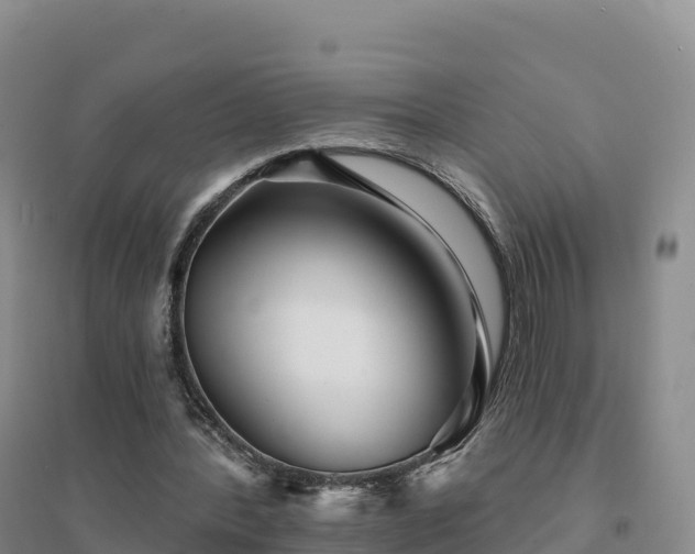 X0000094380388200711091606