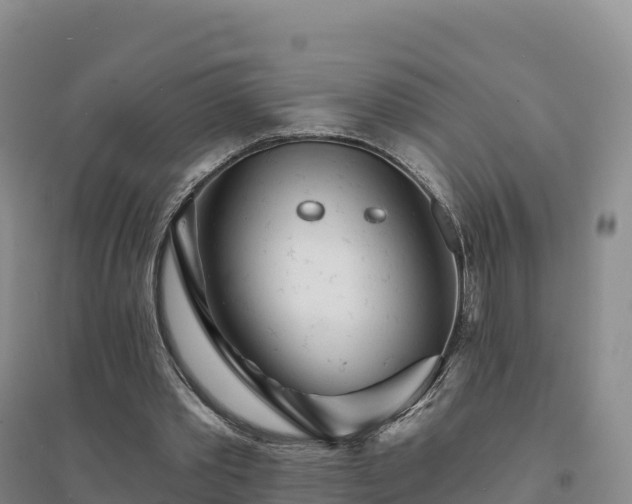 X0000094380389200711091606