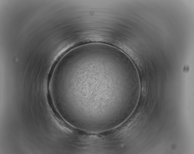 X0000094380390200711091606