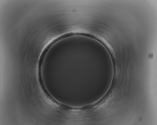 X0000094380391200711091606
