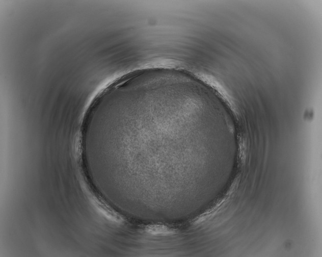 X0000094380392200711091606