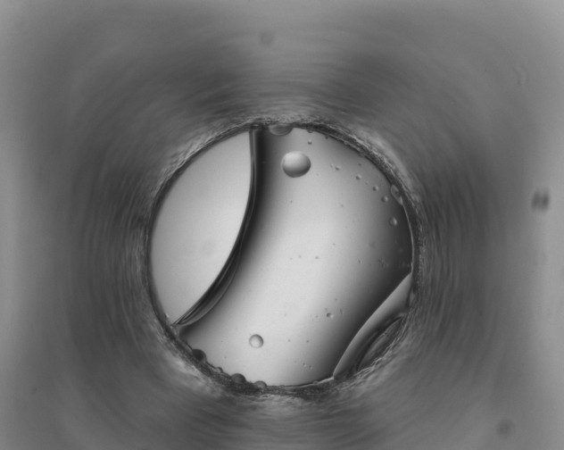 X0000094380393200711091606