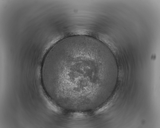 X0000094380394200711091606