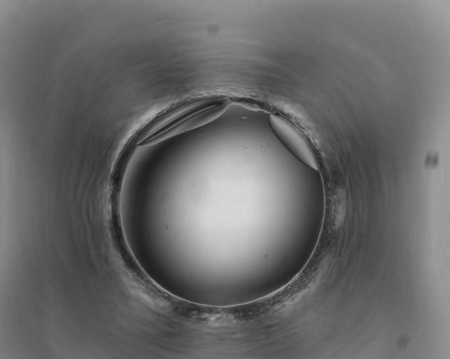 X0000094380395200711091606