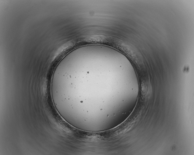 X0000094380396200711091606