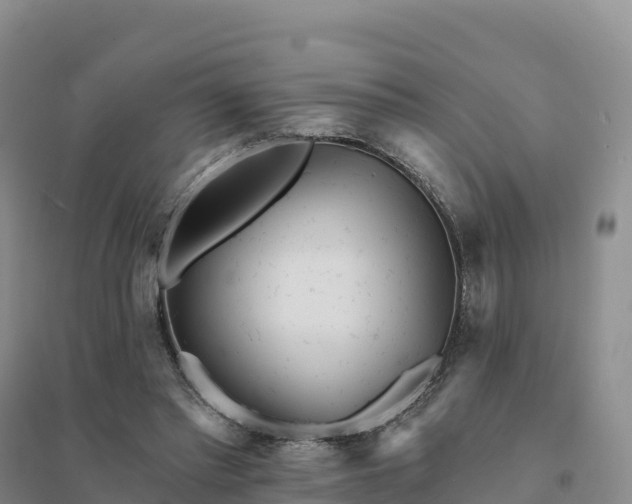 X0000094380397200711091606