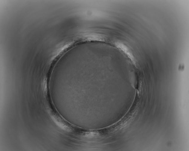 X0000094380398200711091606