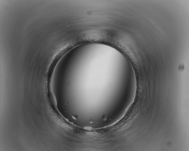 X0000094380399200711091606