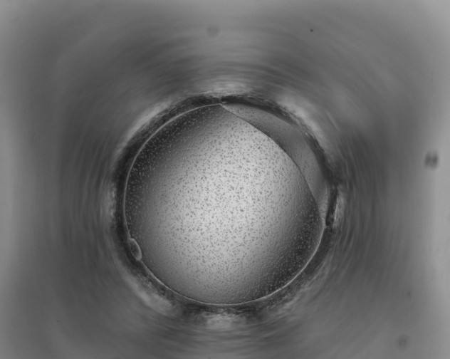 X0000094380400200711091606
