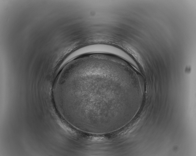 X0000094380401200711091606