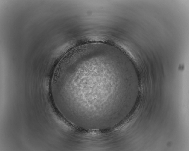 X0000094380402200711091606