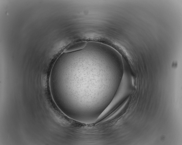 X0000094380403200711091606