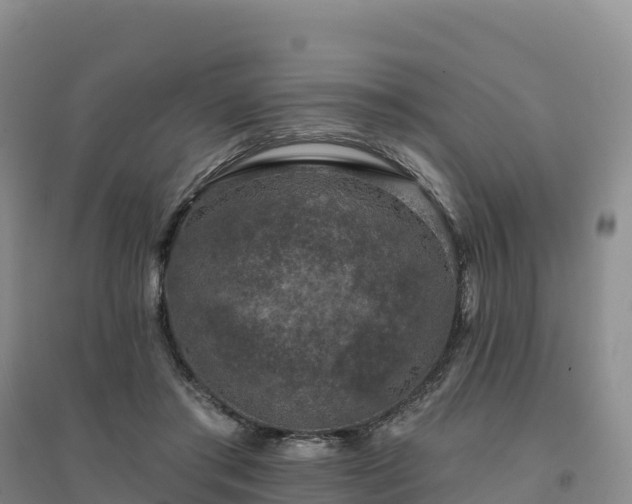 X0000094380405200711091606