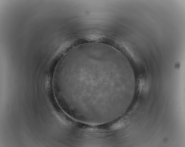 X0000094380408200711091606