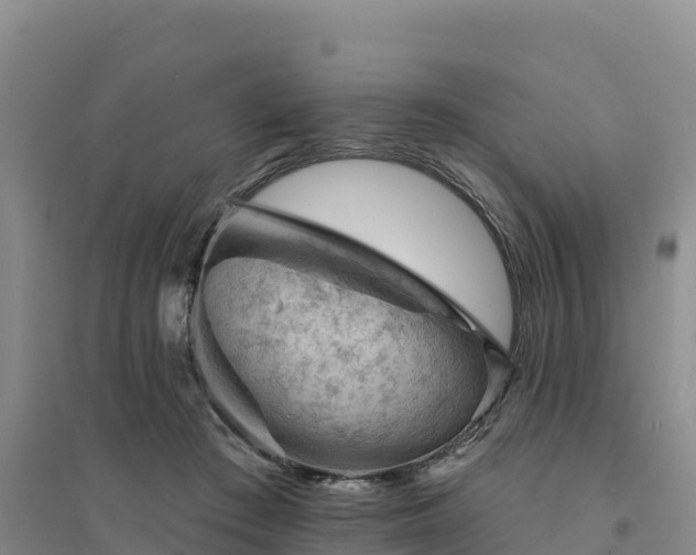 X0000094380409200711091606