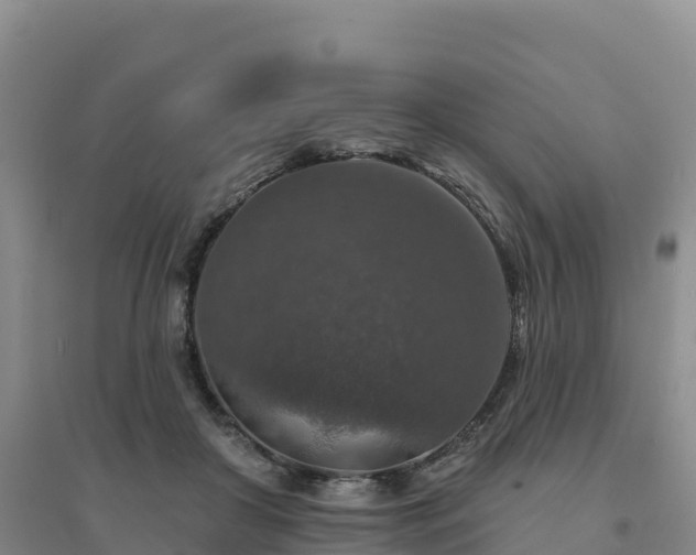 X0000094380410200711091606