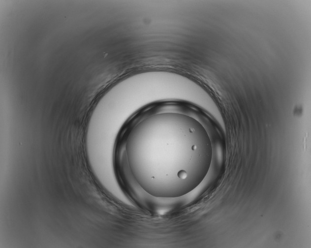 X0000094380411200711091606
