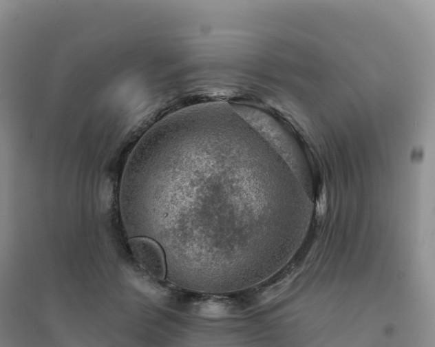 X0000094380412200711091606