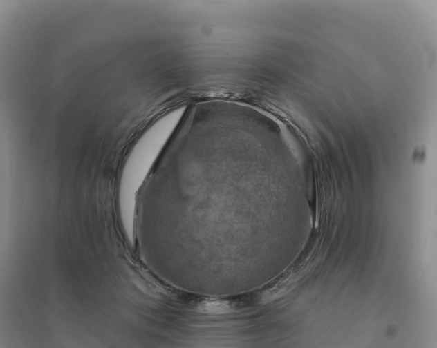 X0000094380413200711091606