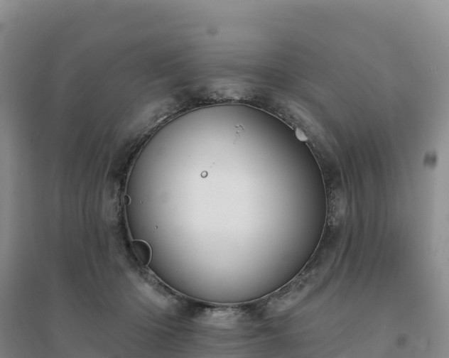 X0000094380414200711091606