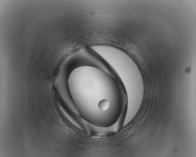 X0000094380415200711091606
