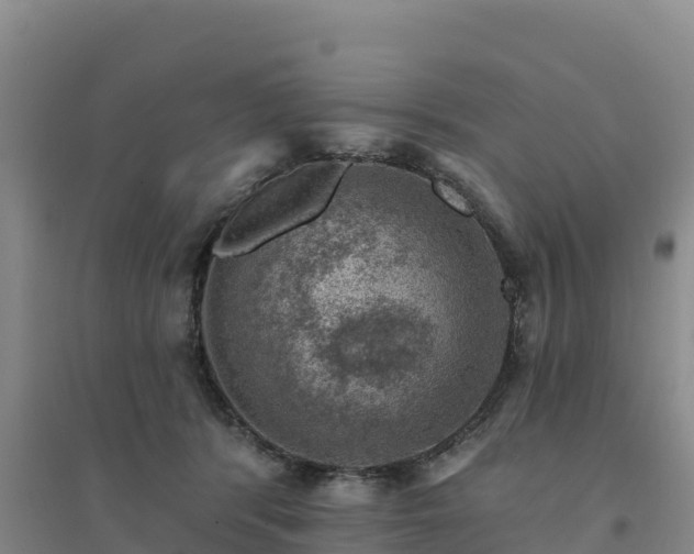 X0000094380416200711091606