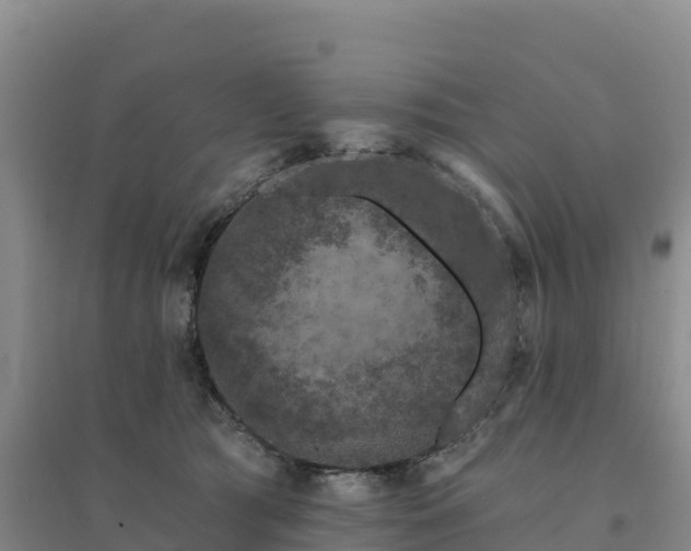 X0000094380417200711091606
