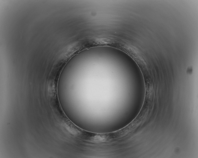 X0000094380418200711091606