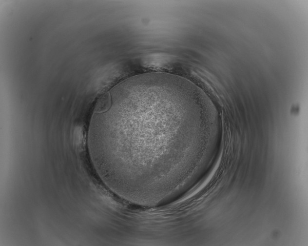 X0000094380420200711091606