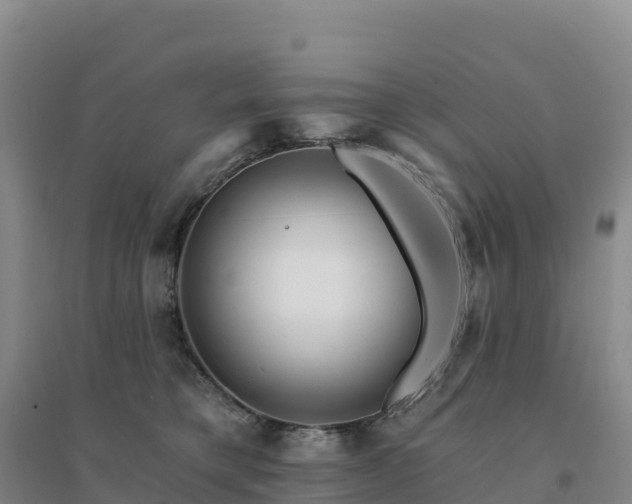 X0000094380421200711091606