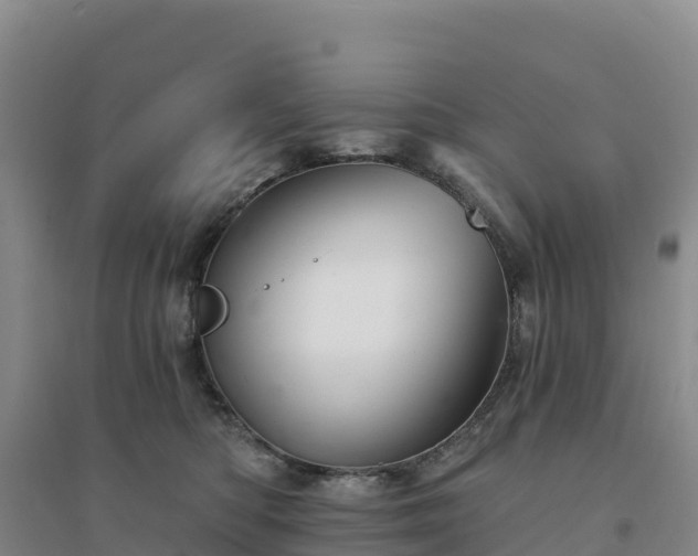 X0000094380422200711091606
