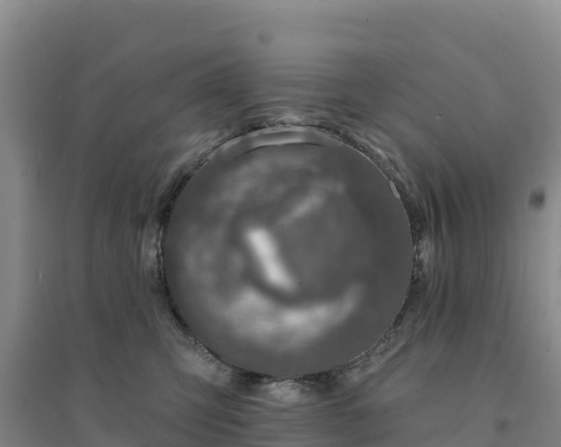 X0000094380423200711091606