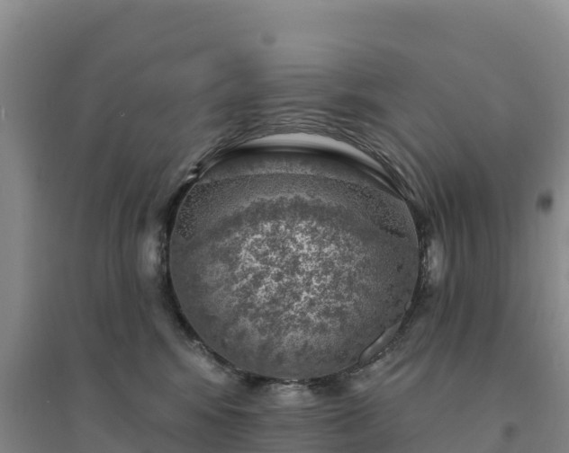 X0000094380424200711091606