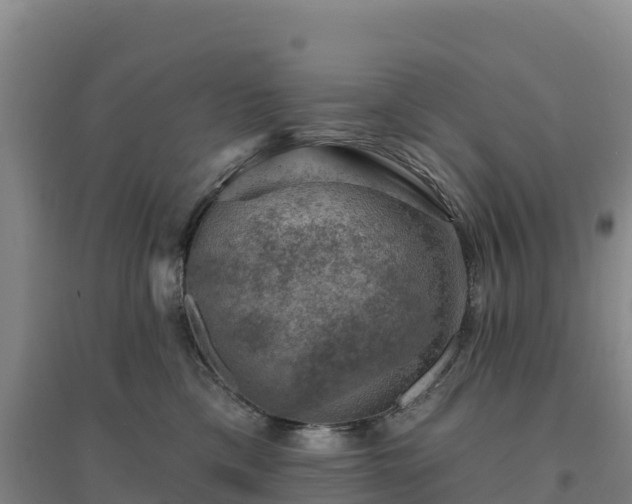 X0000094380425200711091606