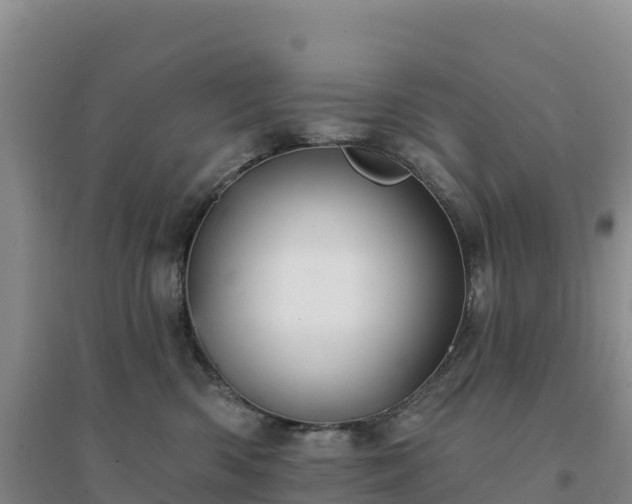 X0000094380426200711091606