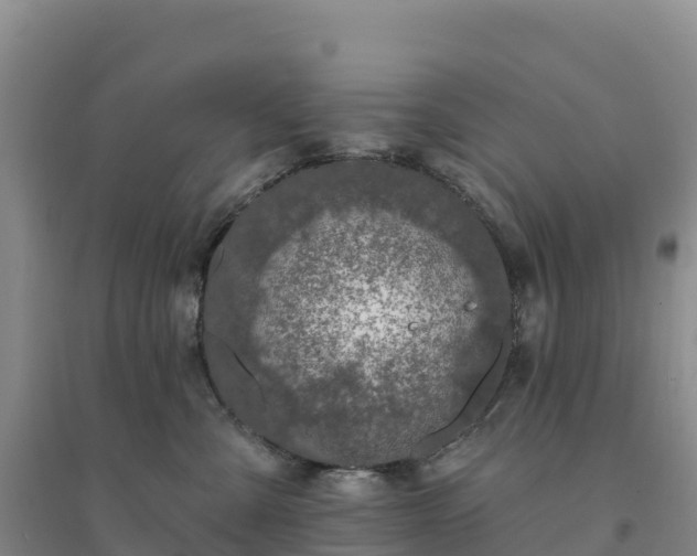 X0000094380427200711091605