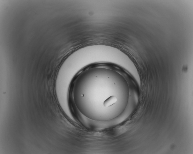 X0000094380428200711091605
