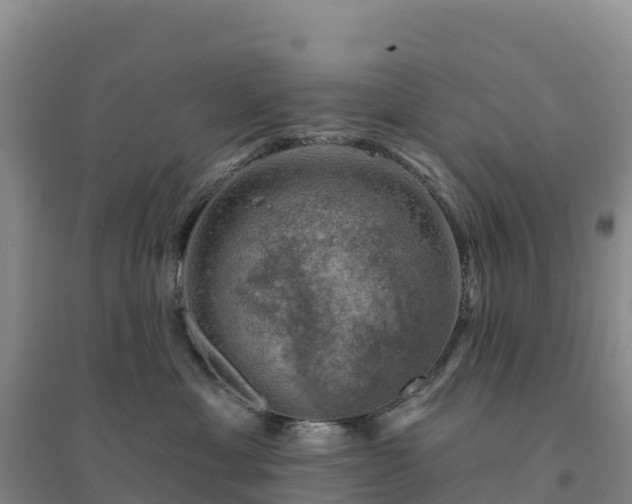 X0000094380429200711091605