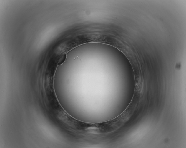 X0000094380430200711091605